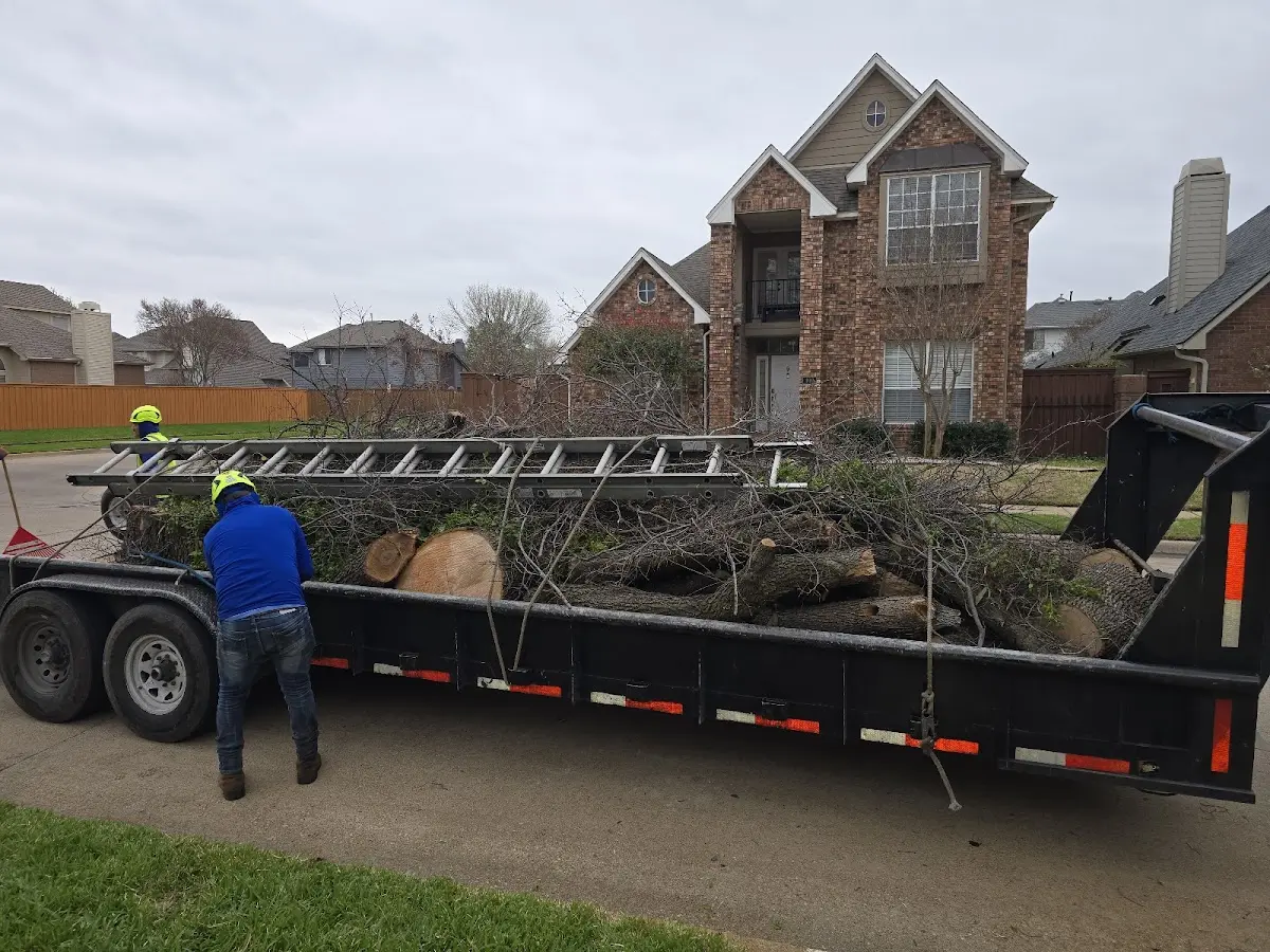 Expert Tree Removal with proper safety equipment in Simonton